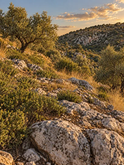 Illustrazione AI di un paesaggio roccioso mediterraneo; non rappresenta la Rocca di Mondragone.